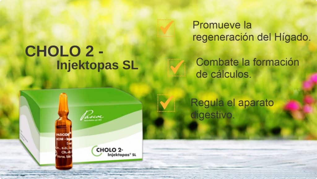 Vitamina C Cholo 2 Beneficios