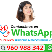 Contactanos WSP 960988342